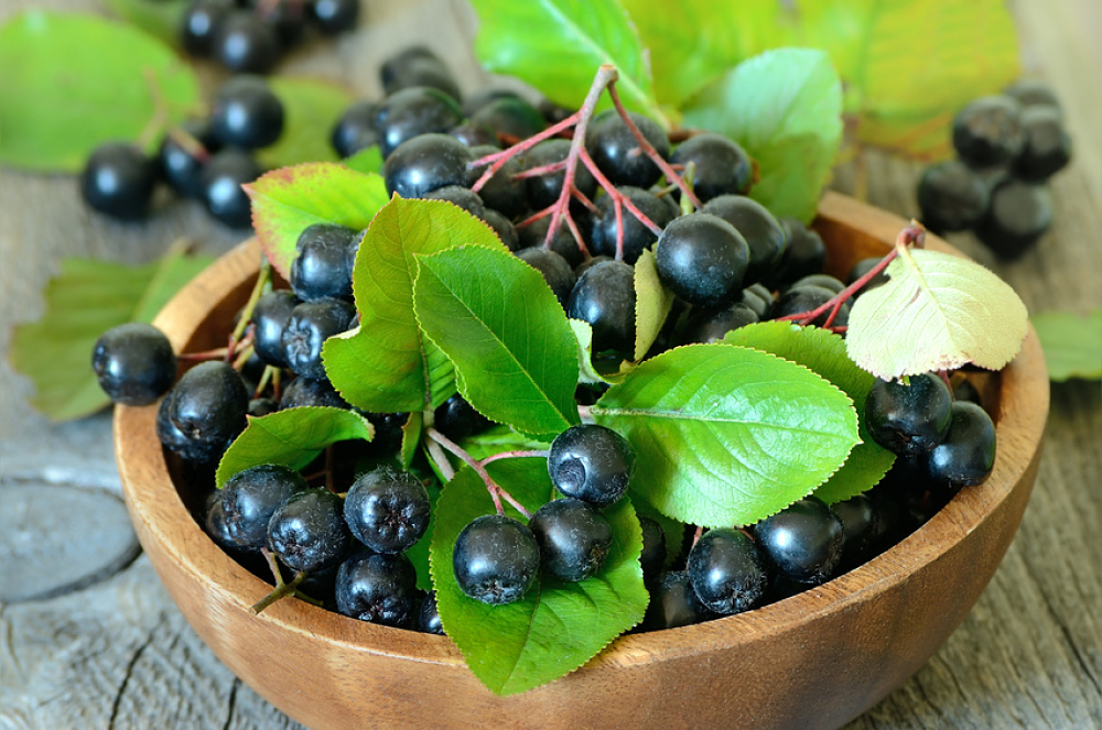 Bol en bois remplis de baies d'aronia, avec quelques feuilles