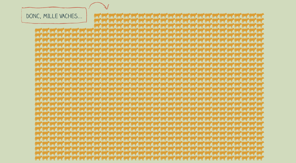 Infographie de mille vaches