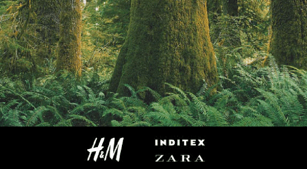 Logo des marques Zara et H&M avec une photo de forêt