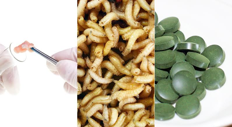 morceau de viande analysé, larves et comprimés alimentaires d'algues