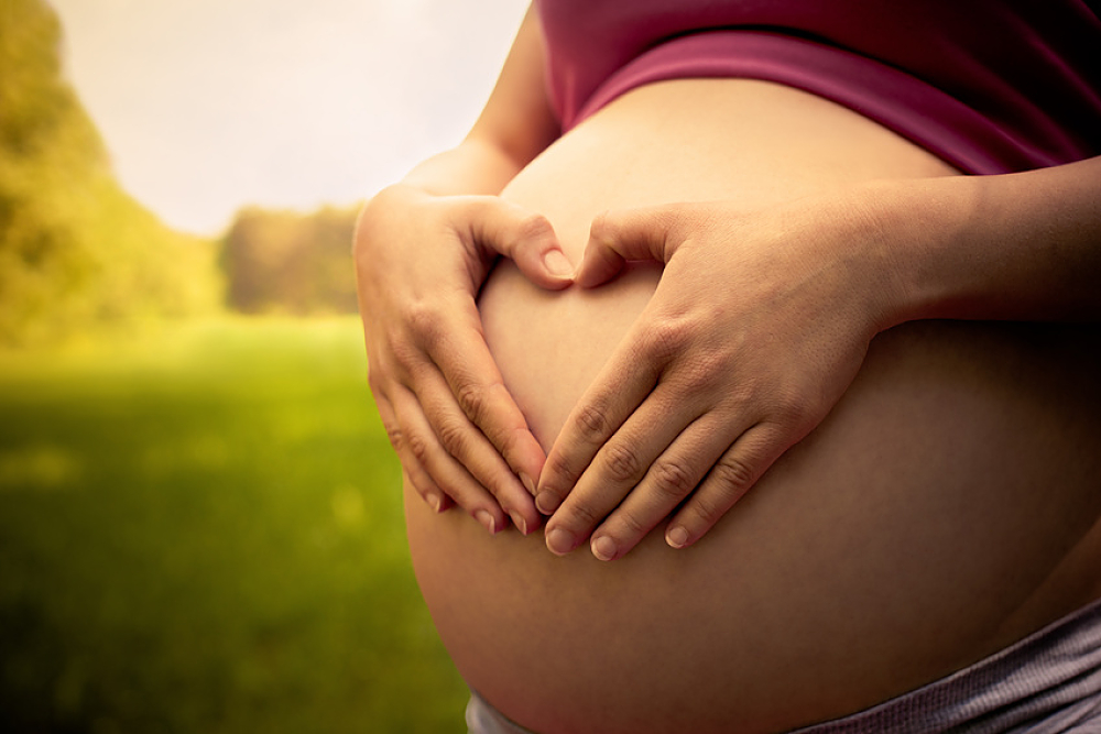 Ventre de femme enceinte. verdure en arrière plan