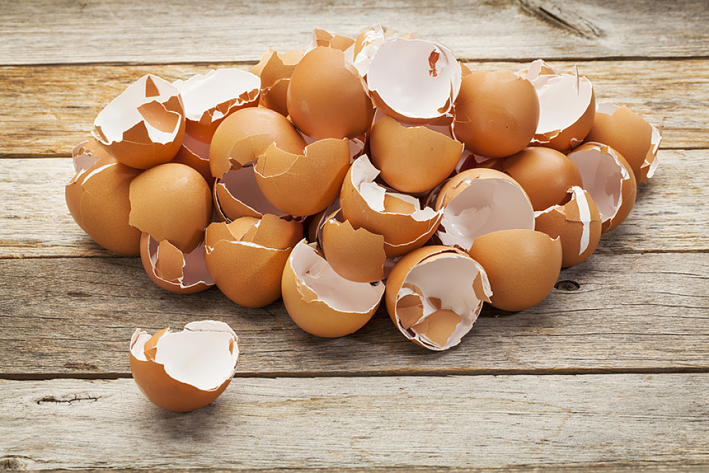 Recyclage : 7 façons inattendues d'utiliser vos coquilles d'oeufs | Bio à  la une