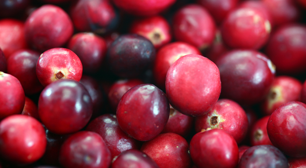 Panier de cranberries en gros plan