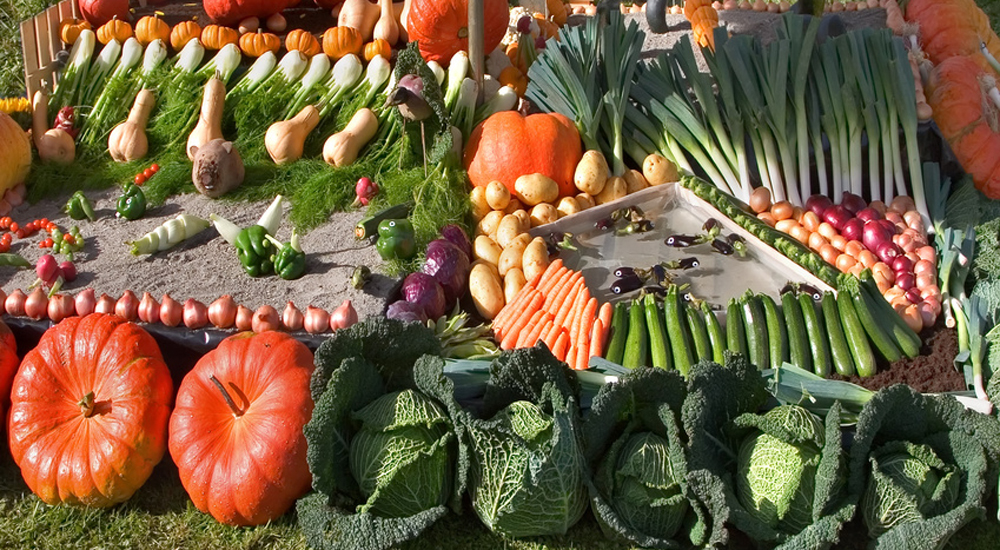 légumes d'automne disposés à même le sol
