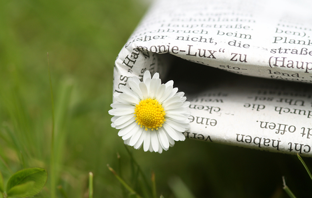 Actualités bio et écolo de la semaine