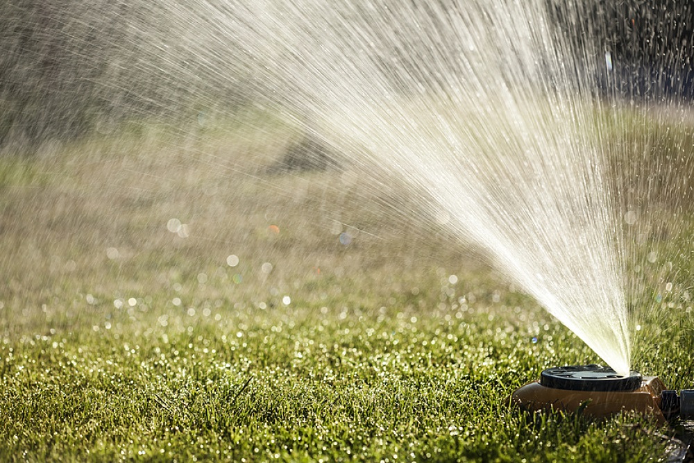 Arrosage automatique sur pelouse