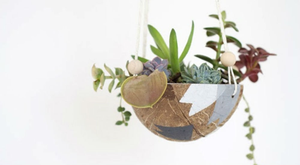 DIY: 5 idées créatives pour un jardin d'intérieur