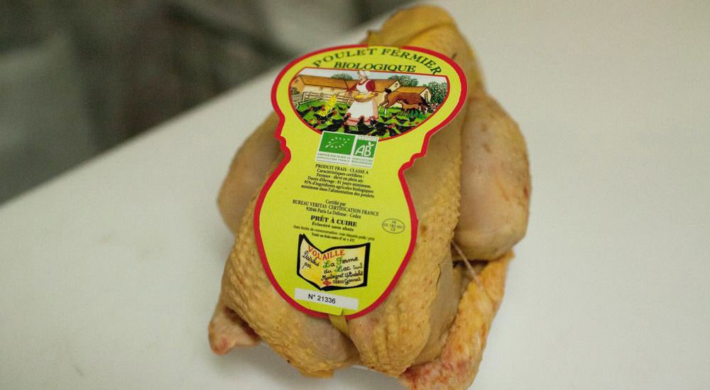 Poulet bio : volaille fermière élevée dans le Sud-Ouest de la France