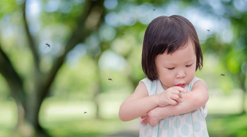 Spray anti-moustiques bio et naturel testé en laboratoire