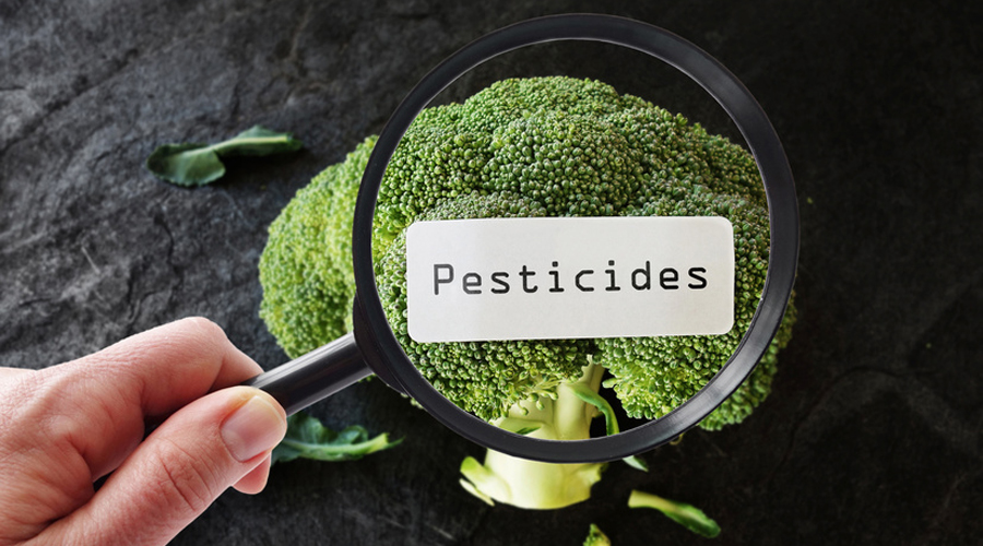 Pesticides : les fruits et légumes les plus contaminés