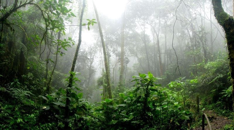 vestiges civilisation précolombienne