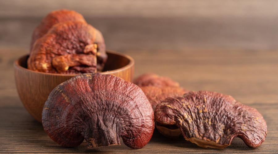 Reishi