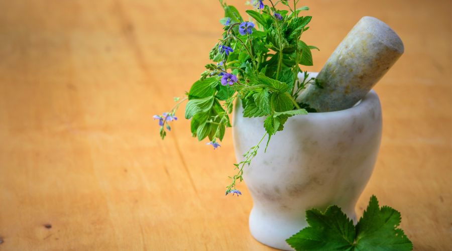 7 plantes pour faire un pesto