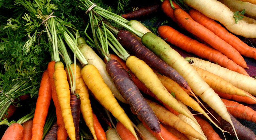 Lot de carottes de différentes couleurs sur l'herbe