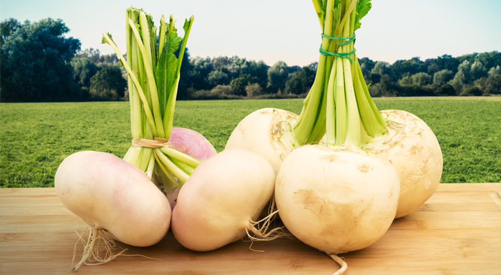 Plusieurs Rutabaga posés sur une table en bois en pleine campagne