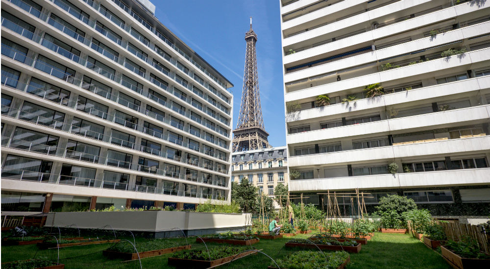 Le jardin potager de la brasserie Frame, dans le XVe arrondissement de Paris