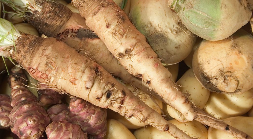 Deux salsifis au milieu d'autres légumes anciens