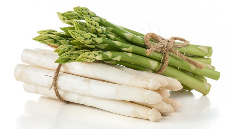 Duo d'asperges sur fond blanc