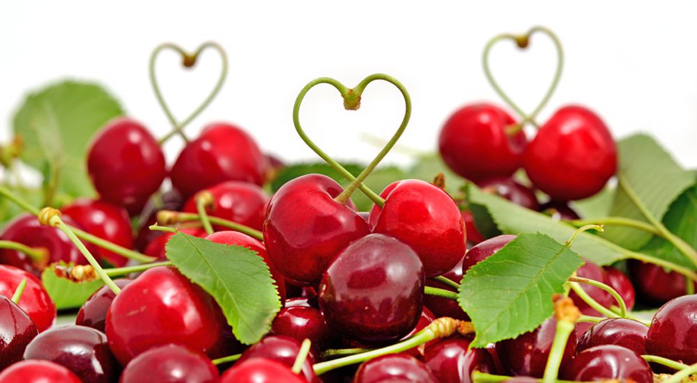 Panier de cerises dont les tiges forment un coeur