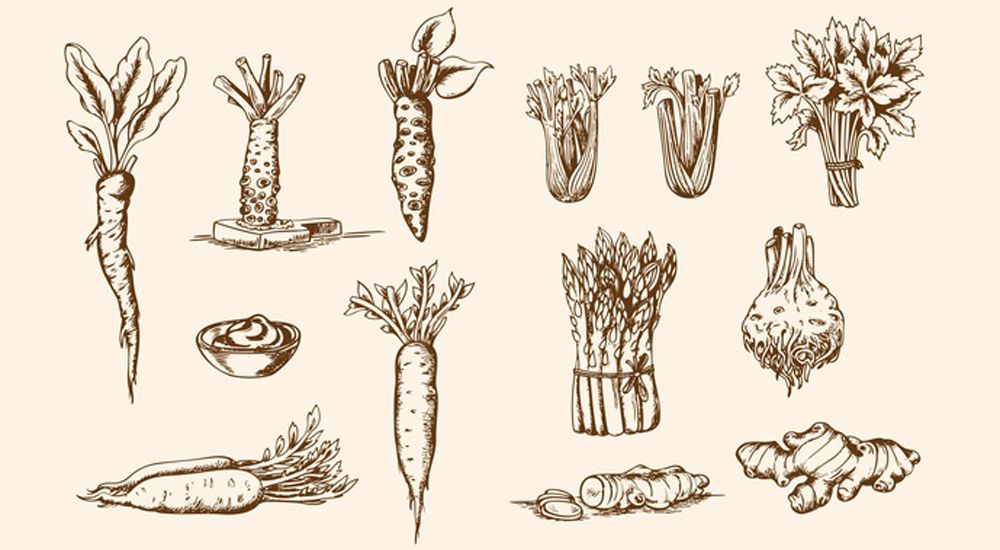 Régulièrement, nous vous proposons de redécouvrir les bienfaits nutritifs des légumes anciens qui sont peu à peu tombés dans l'oubli. Mais pourquoi ces légumes ont-ils été oubliés ?
