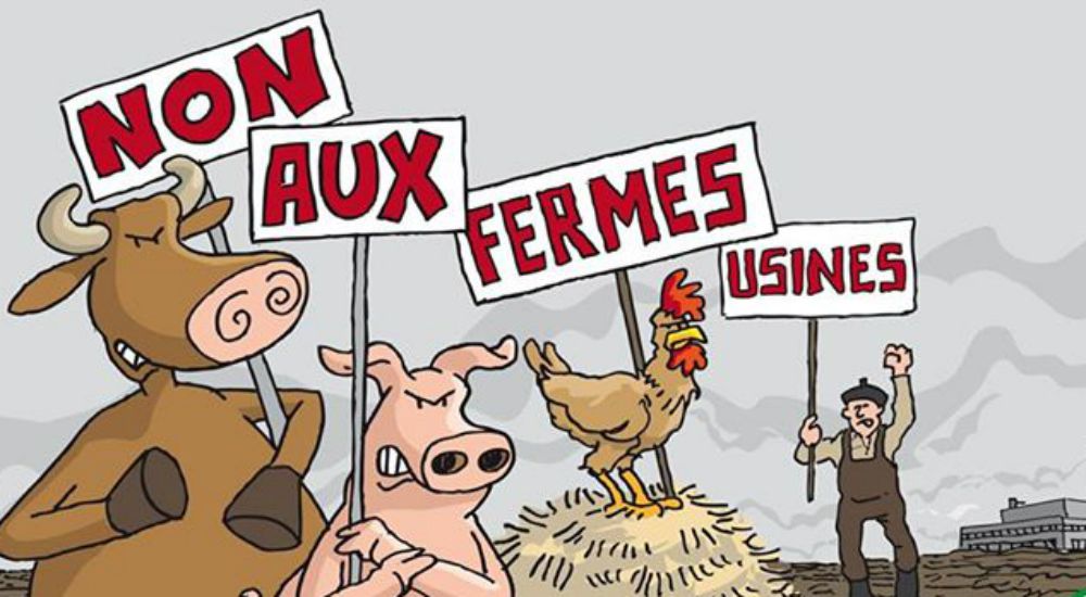 Manifestation d'animaux