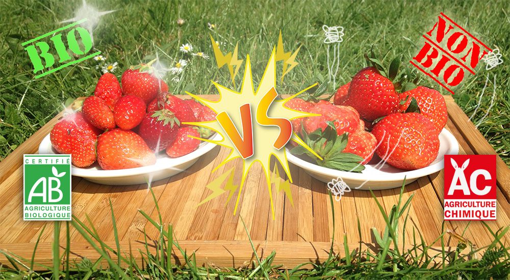 Plateau de fraises dans l'herbe