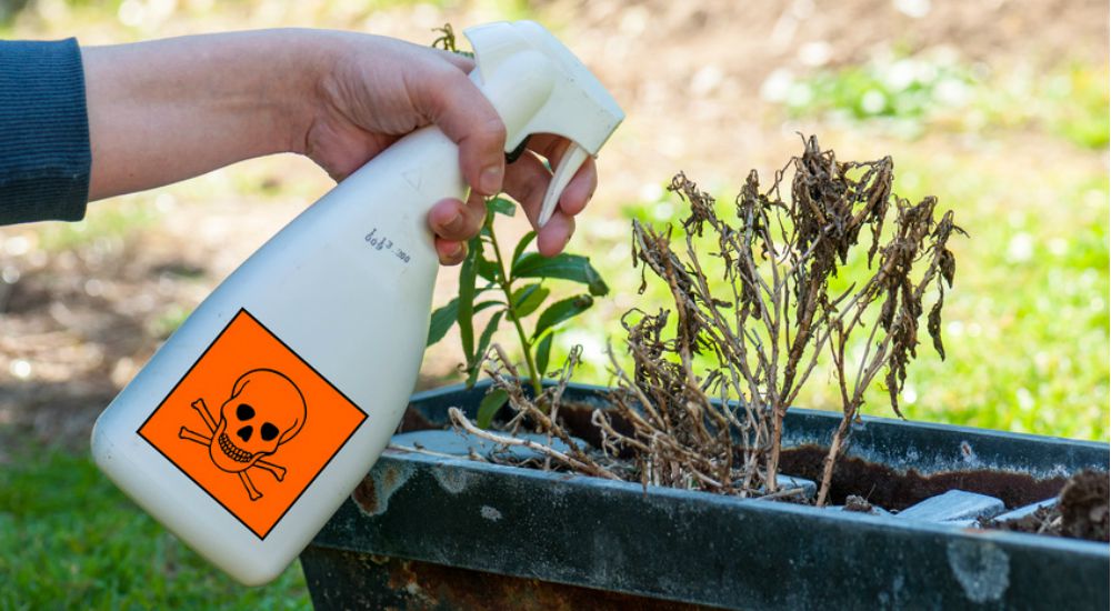 Femme tenant un vaporisateur de pesticide