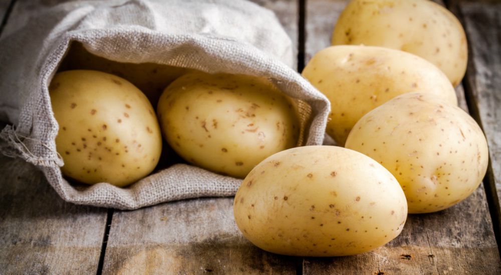 Pommes de terre étalées sur une table