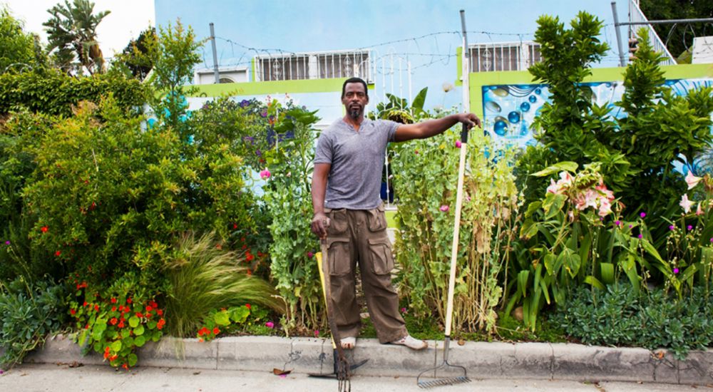 Ron Finley le gangster-jardinier