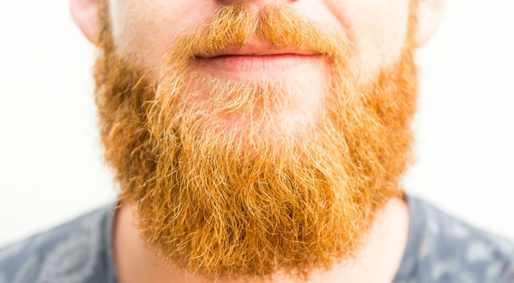 Une barbe d'un homme roux