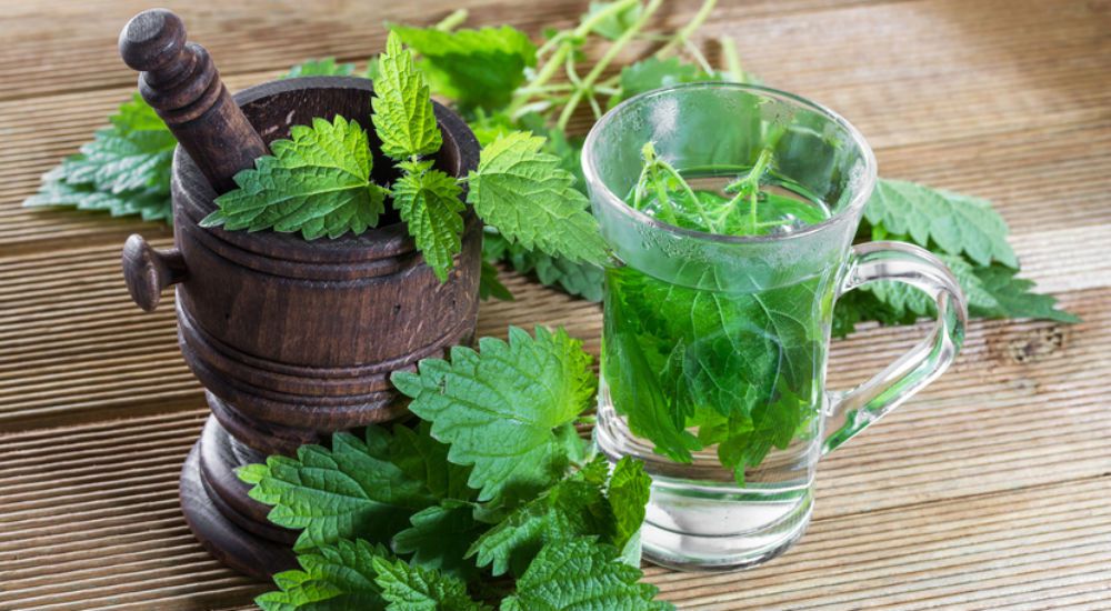 Une tisane à base d'orties, des feuilles, un mortier et son pilon.