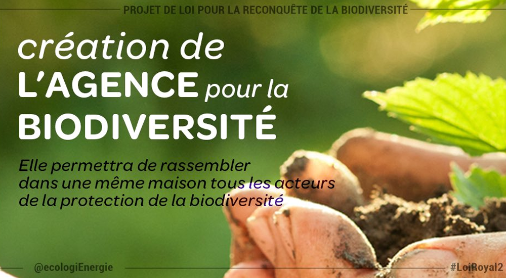 Titre sur la création de l'agence biodiversité