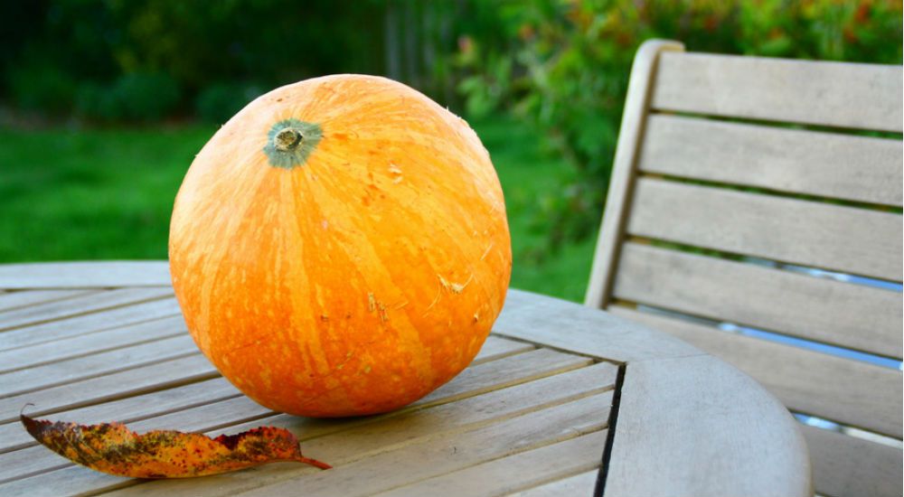 un potimarron sur une table de jardin