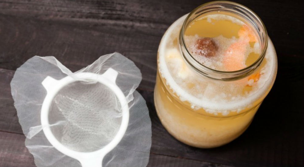 une boisson au graines de kéfir