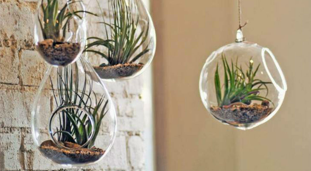 DIY: 5 idées créatives pour un jardin d'intérieur