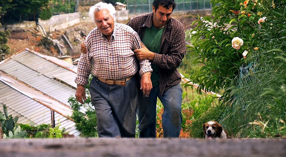 Affiche du film Le Potager de mon Grand-Père