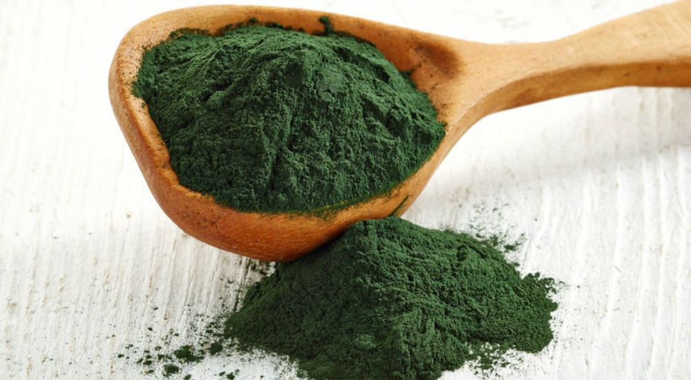 Une poudre de spiruline dans une cuillère en bois