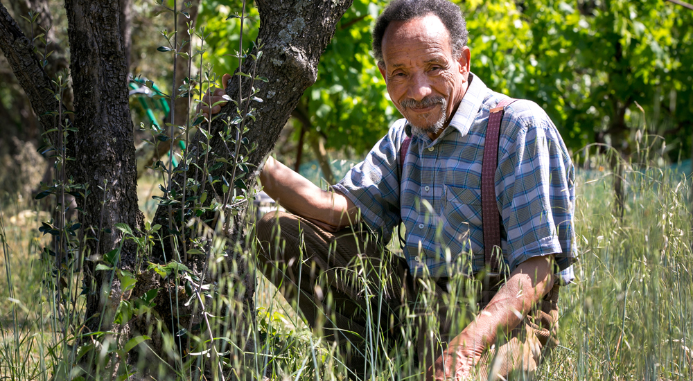 Pierre Rabhi assit dans son jardin contre un arbre