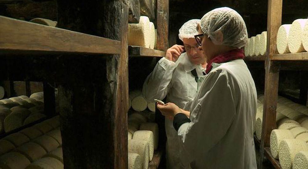 Deux employés d'une crèmerie analyse un fromage