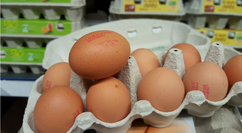 des oeufs dans une boite à oeufs
