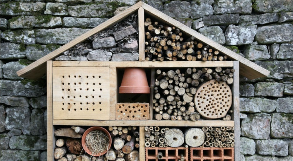 une maison pour les insectes