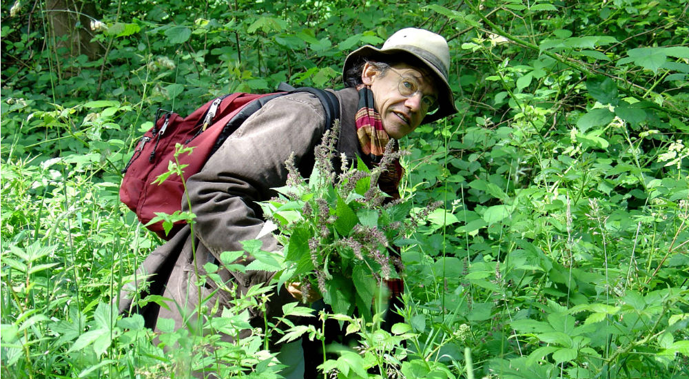  l'ethnobotaniste François Couplon dans les plantes sauvages