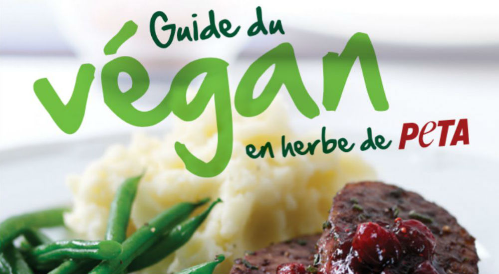 La couverture du Guide du Végan en herbe