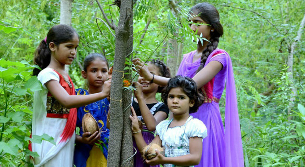 des indiennes plantent des arbres