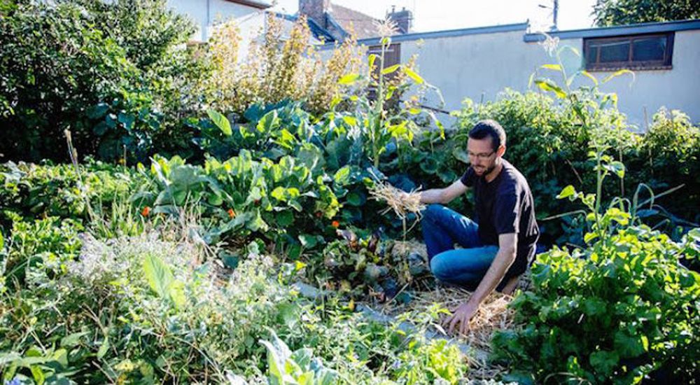 Joseph Chauffrey désherbe dans son potager urbain