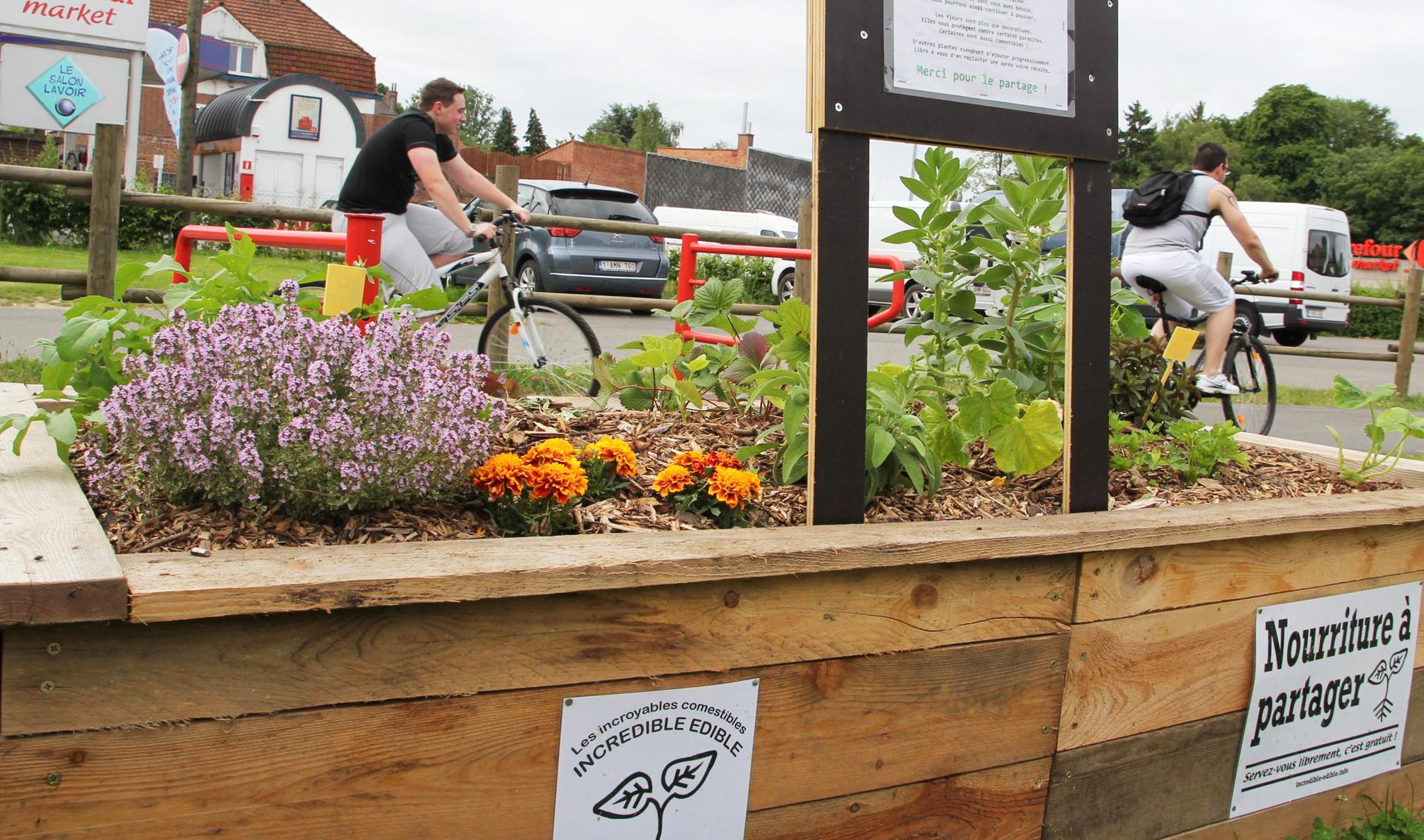 un potager participatif de légumes bio