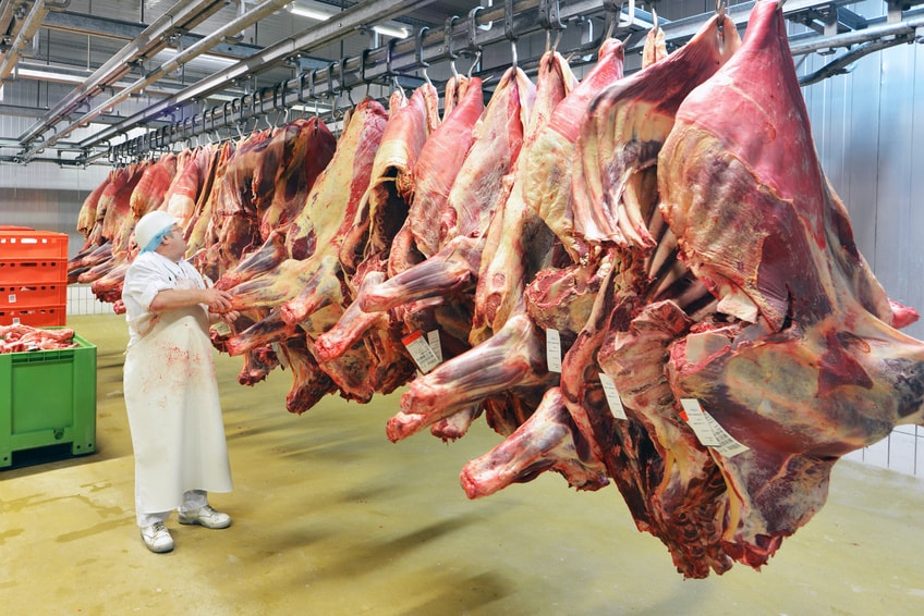 des animaux de boucherie pendus dans un abattoir