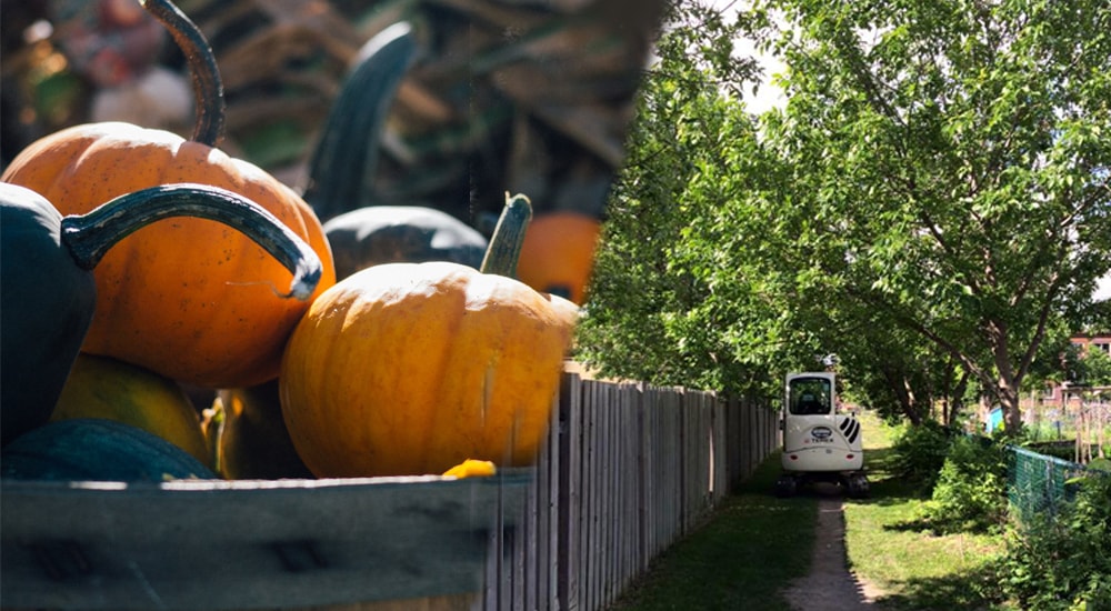 photos du potager de la rue Basile Patenaude à Montréal