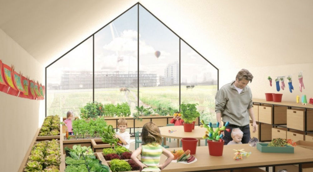 une école va apprendre à ses élèves faire pousser ses propres légumes