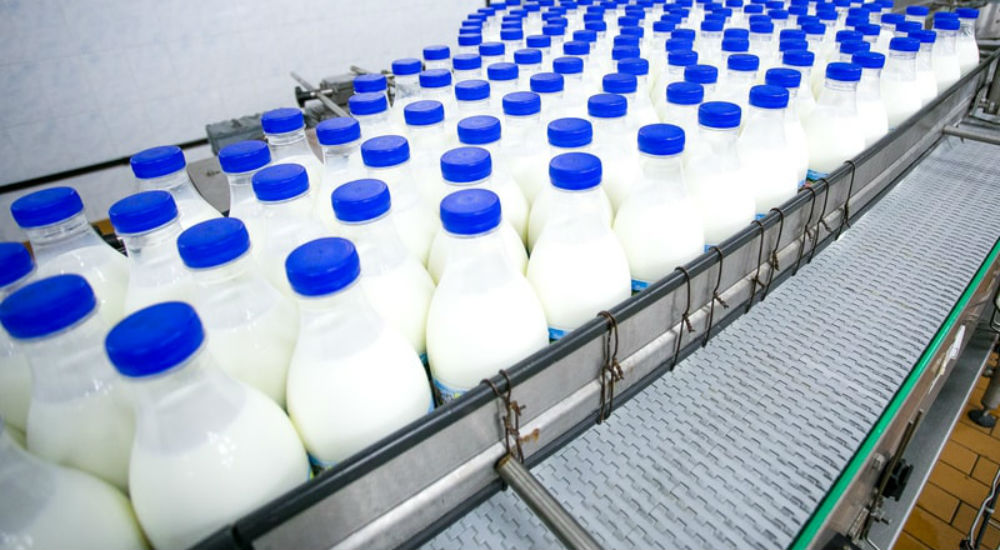 des bouteilles de lait dans une usine